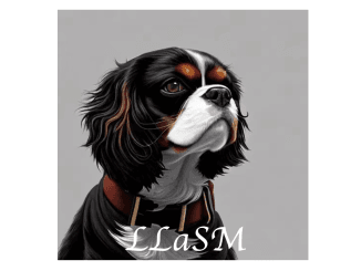 Meet LLaSM: An End-to-End Trained Large Multi-Modal Speech-Language Model with Cross-Modal Conversational Abilities Capable of Following Speech-and-Language Instructions