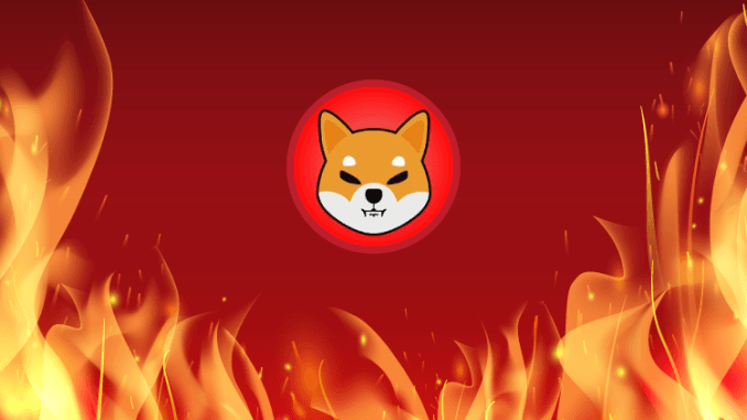 Shiba Inu Lead Dev Confirms Development Of Burn Portal Shiba Inu burn portal