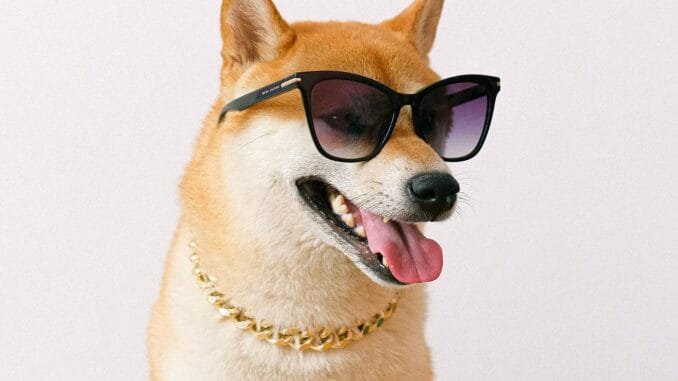 Dogecoin Adoption Grows As Canadian Blockchain Firm Buys 1 Million Dogecoin