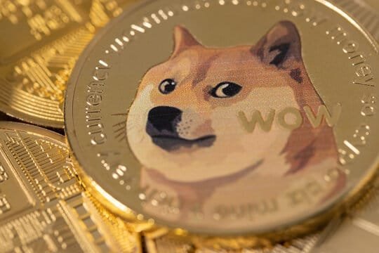 Dogecoin Price Crash Not Over? 51.81% Of All Traders Are Dogecoin