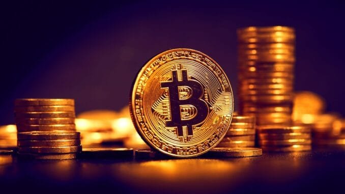 Dogizen readies for open market as crypto majors rebound Dogizen readies for open market as crypto majors rebound