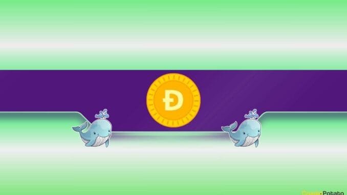 Is DOGE's Price Poised for a Rally? Is DOGE's Price Poised for a Rally?