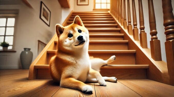 Dogecoin Consolidation Suggests Uptrend Could Continue, But There's A Threat Dogecoin