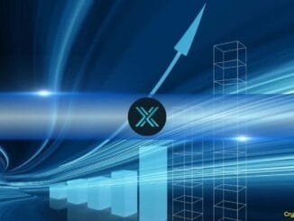 Immutable X and zkEVM NFT Sales Surge 55% in Q4 2024, But Market Participation Declines