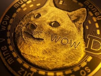 Memes Meet Politics: What the Dogecoin Community Makes of Elon Musk’s DOGE