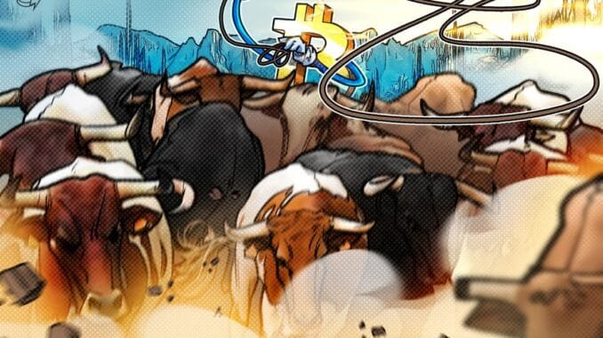 Bitcoin price hit a new all-time high and data shows Bitcoin price hit a new all-time high and data shows BTC bulls aren’t done yet