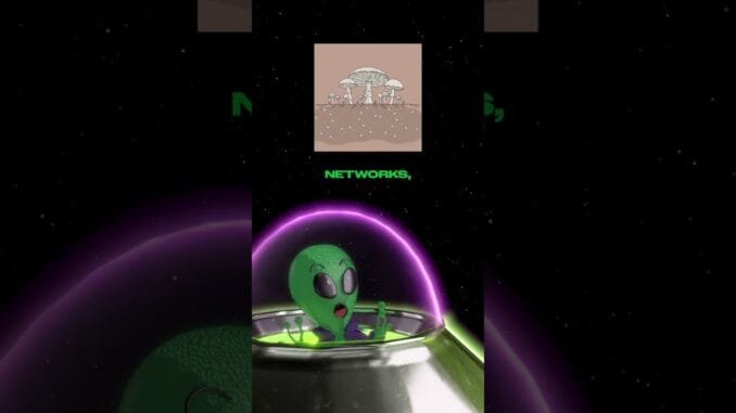 LIL C Drops HOT MycoDao Crypto News!