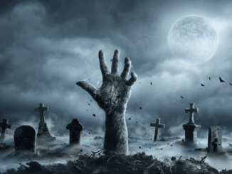 Last Year’s Viral Meme Coins Are Back From the Dead as Solana and Ethereum Gain