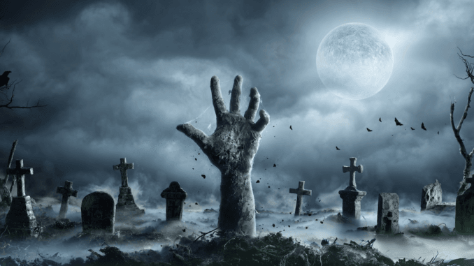 Last Year’s Viral Meme Coins Are Back From the Dead as Solana and Ethereum Gain