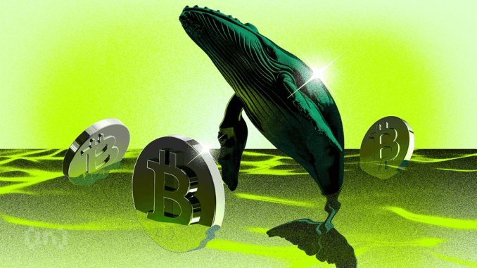 New Bitcoin Whales May Drive Rally as BTC Nears $100,000 New Bitcoin Whales Now Hold Majority of BTC Capital