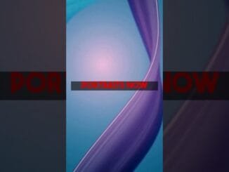 AI Photo Transformation Guides Exploring Portraits and Background Removal