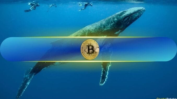 Bitcoin Whales Seize 68% of Supply After Adding 218,570 BTC Bitcoin Whales Seize 68% of Supply After Adding 218,570 BTC