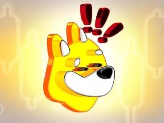 5 Reasons Why BONK Could Hit an All-Time High (ATH)