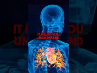 Quick Start Guide: AI Medical Second Opinion at secondopinionfromai.com.