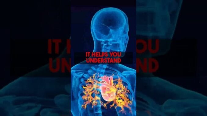 Quick Start Guide: AI Medical Second Opinion at secondopinionfromai.com.