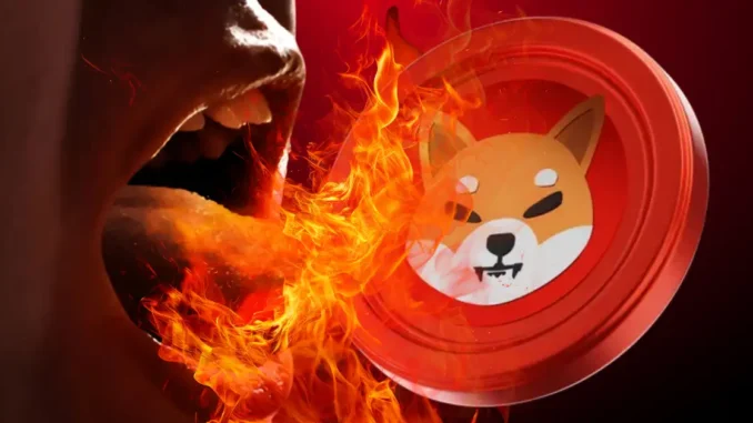 Shiba Inu Burns 600 Million Tokens in One Day Coinpedia - Fintech & Cryptocurreny News Media