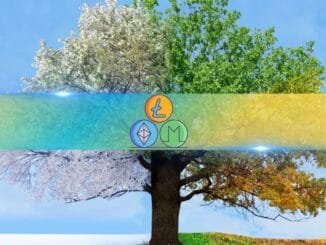 Skip Bitcoin FOMO, Altcoins Offer Better Gains Now