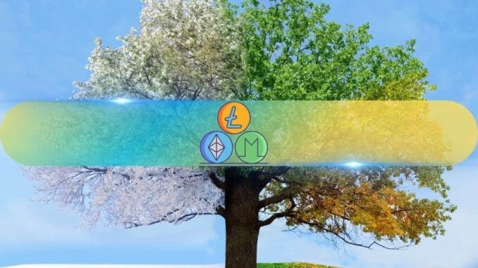 Skip Bitcoin FOMO, Altcoins Offer Better Gains Now Skip Bitcoin FOMO, Altcoins Offer Better Gains Now