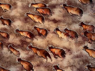 XRP Adds To Altseason Excitement With McDonald's Market Cap Flip