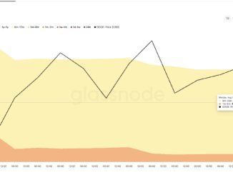 Dogecoin price and HODL waves