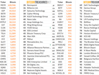 Public Bitcoin Treasury Companies