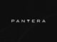 Pantera invests $300 million in crypto treasury firms led by Tom Lee’s BitMine