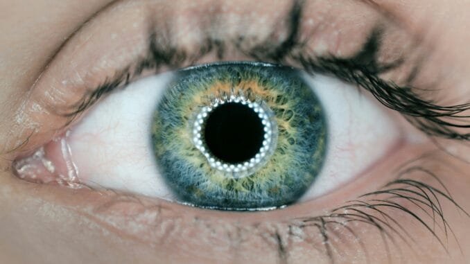 SoundHound is giving its AI the power of sight SoundHound is giving its AI the power of sight
