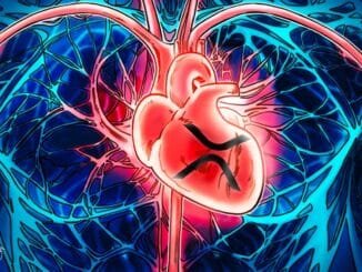 5 Key Factors Behind Its Growing Value