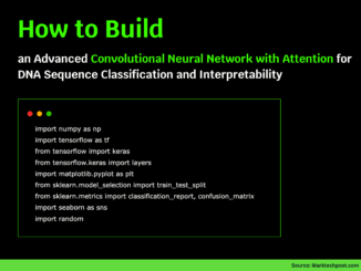 Building an Advanced Convolutional Neural Network with Attention for DNA Sequence Classification and Interpretability