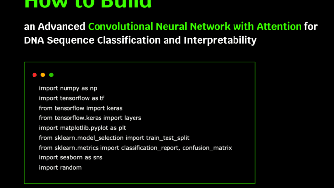 Building an Advanced Convolutional Neural Network with Attention for DNA Sequence Classification and Interpretability
