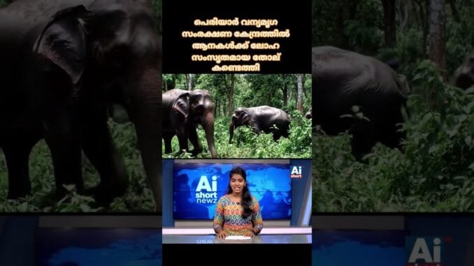This video is A.I generated #malayalamai #news #aishortnewz #ainews