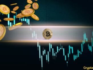 4-Year Bitcoin Cycle Is a 'Big Misunderstanding'