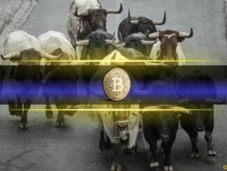 Bitcoin’s Bull Run Backed by Growing Long-Term Holders