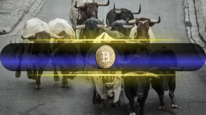 Bitcoin’s Bull Run Backed by Growing Long-Term Holders Bitcoin’s Bull Run Backed by Growing Long-Term Holders