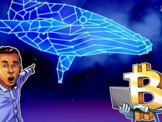 Mystery Whale Opens $163M Bitcoin Short After $192M Profit