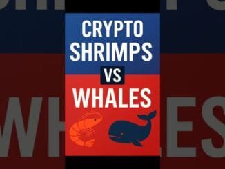 Crypto Shrimps VS Whales