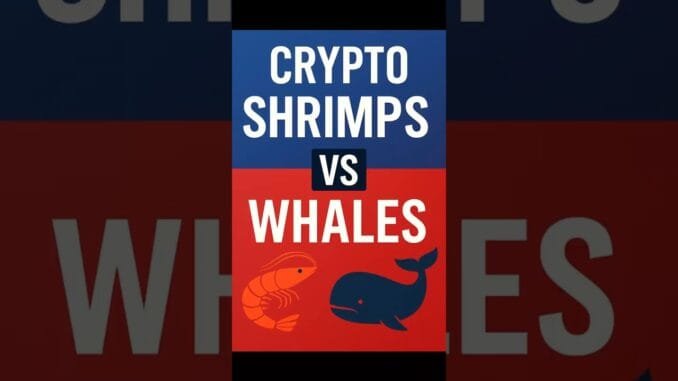 Crypto Shrimps VS Whales