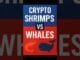 Crypto Shrimps VS Whales
