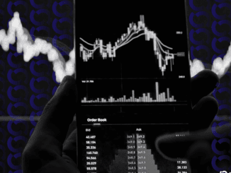 Institutional Investors Shift From Speculation to Diversification: Sygnum