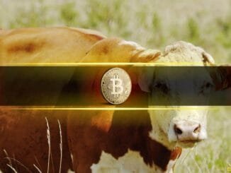 Rising Liquidity Pushes Bitcoin Into Bullish Consolidation