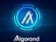 Algorand (ALGO) Embraces P2P Networking Enhancing Decentralization and Resilience