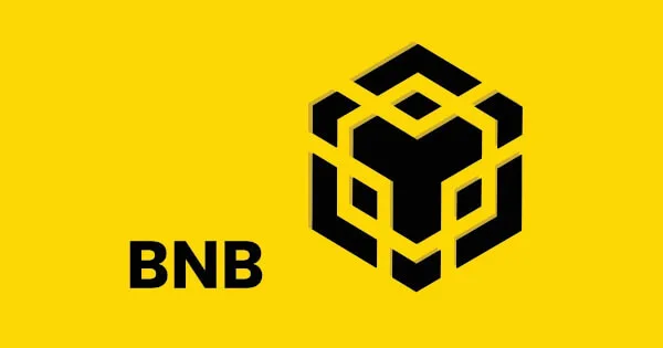 BNB Chain Sets New Standards with Record Growth in 2025