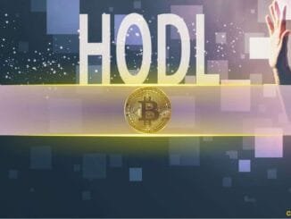 Bitcoin Slumps in February, Yet HODLers and Miners Signal Support