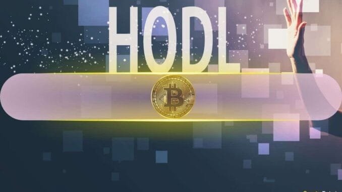 Bitcoin Slumps in February, Yet HODLers and Miners Signal Support Bitcoin Slumps in February, Yet HODLers and Miners Signal Support
