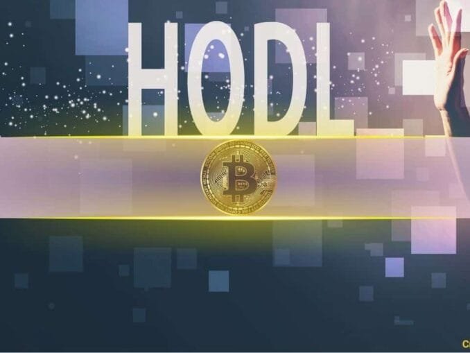 Bitcoin Slumps in February, Yet HODLers and Miners Signal Support