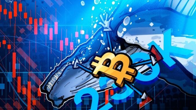 Bitcoin Whales Rebuild Reserves With 236K BTC in 90-days Bitcoin Whales Rebuild Reserves With 236K BTC in 90-days
