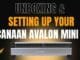 How to Set Up the Avalon Mini 3 | Bitcoin Miner Setup Guide