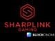 Sharplink Executives Promote Ether as Productive Asset Amid Price Drops
