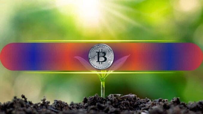 5 Key On-Chain Signals to Watch With Bitcoin at Fair Value