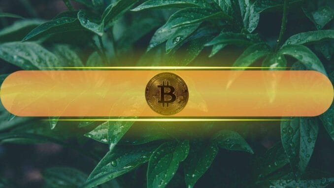 Analysts Eye 'Insane Reversal' in Markets as Bitcoin Touched $70K Analysts Eye 'Insane Reversal' in Markets as Bitcoin Touched $70K